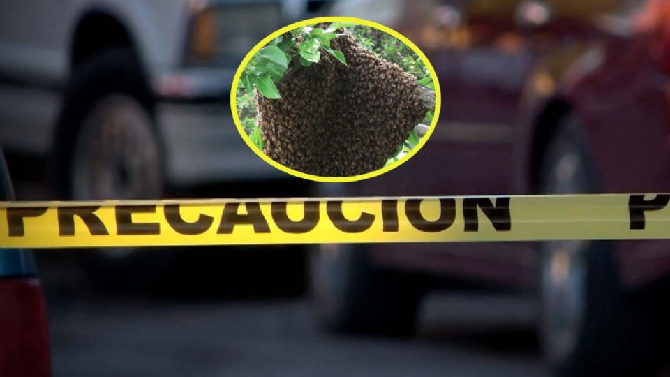 Un hombre murió por picaduras de abejas