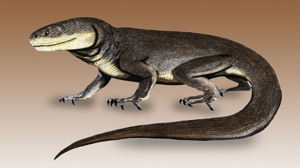 El Tamaulipasaurus