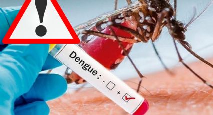 Dengue: alerta en México por aumento de casos y muertes; estos son los estados más afectados