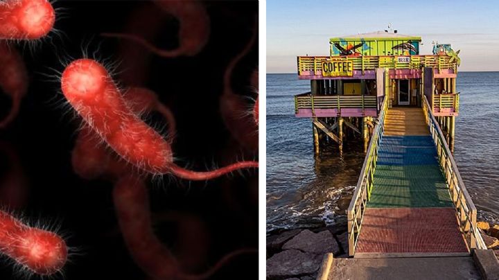 Brote de bacteria carnívora aumenta casos en las playas de Galveston, Texas