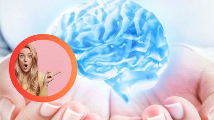 Estos alimentos podrían estar generando tu ansiedad y depresión, según nutrióloga