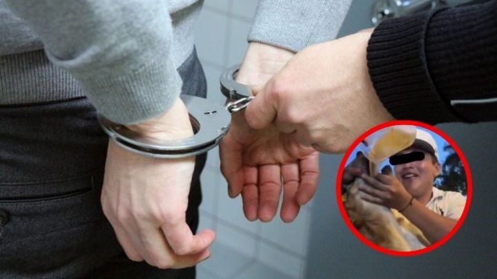 Imputan penalmente a joven por crueldad animal; obligó a perrito a tomar alcohol