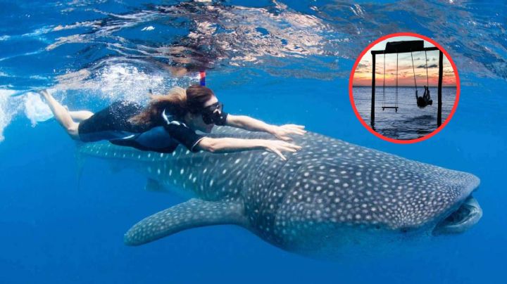 En esta isla podrás caminar en el agua y ver tiburones ballena de cerca