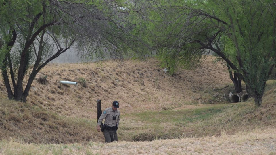 Los ciudadanos deben tener cuidado si ven animales salvajes.