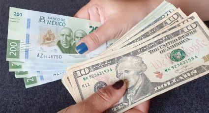 Así amaneció el peso mexicano frente al dólar; cotización del 31 de agosto 2024