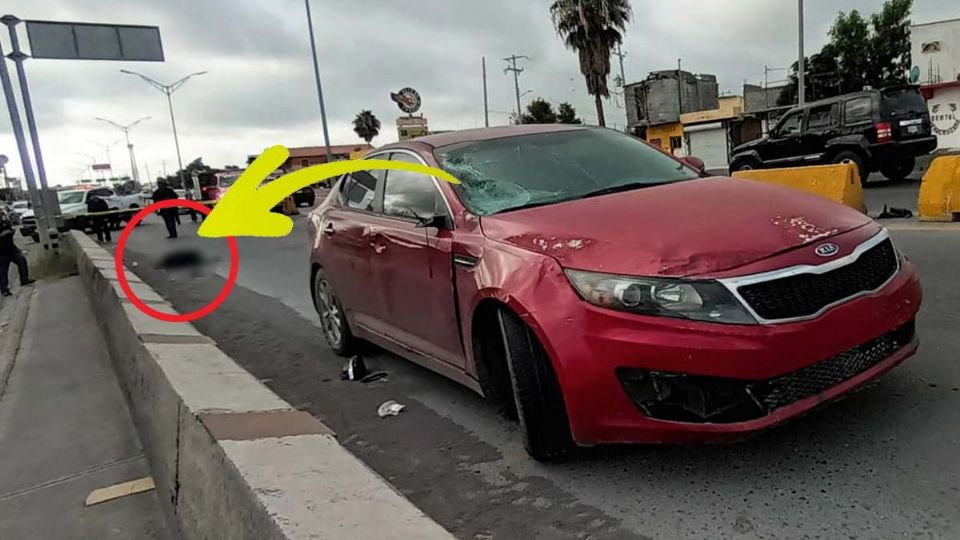 Anciano intentaba cruzar la avenida