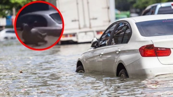 Hombre arriesga su vida para tratar de salvar a mujer de inundación | VIDEO