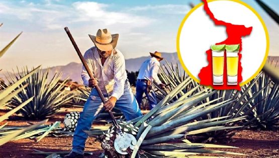 Fiestas patrias: Tamaulipas prepara uno de los mejores tequilas del país; ¿cuál es?