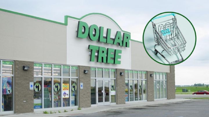Dollar Tree: compra como experto con estos secretos revelados por empleados
