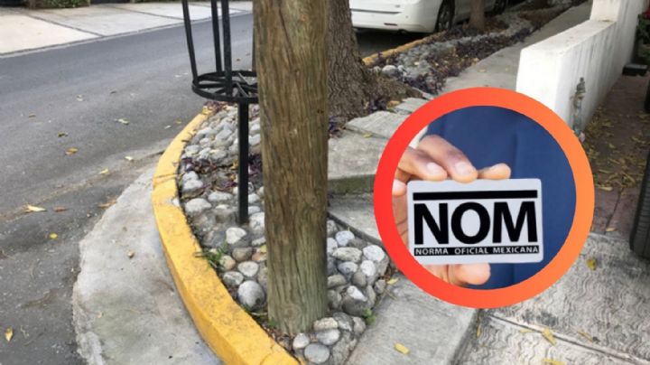 ¿Cuánto debe medir la banqueta de tu casa según la ley?