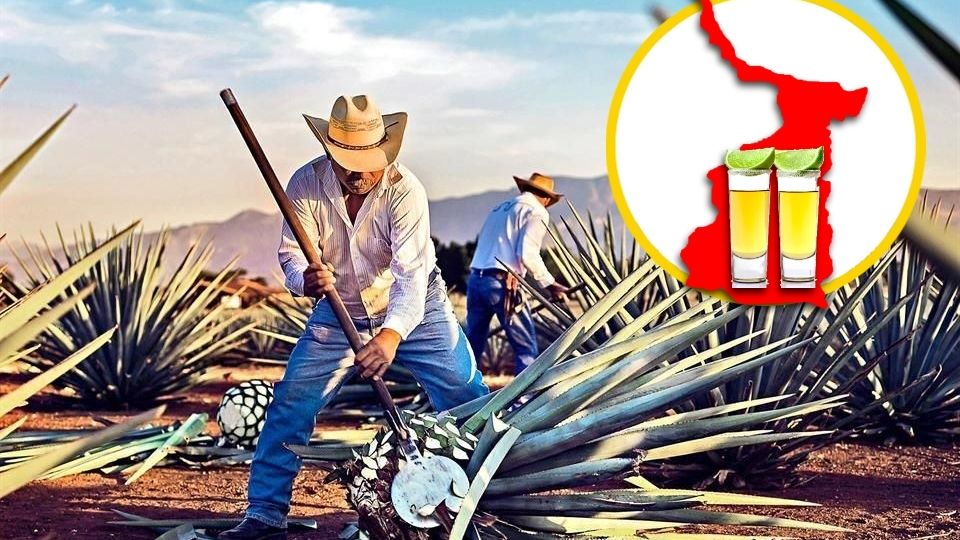 El tequila no es único de Jalisco, hay varios municipios en Tamaulipas que tienen denominación de origen y un tequila en especial que es reconocido mundialmente