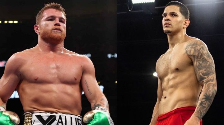 'Canelo' vs. Berlanga: ¿a qué hora y en dónde se puede ver el combate de esta noche