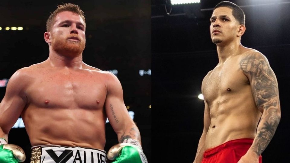 'Canelo' es favorito para sacar la victoria.