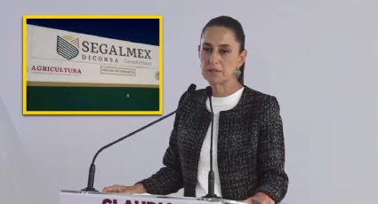 Adiós Segalmex y Diconsa: Sheinbaum creará 'Alimentación para el Bienestar'