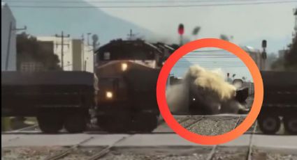 MOMENTO EXACTO en el que tráiler es arrollado por un tren; chofer se da a la fuga