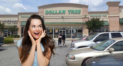 Dollar Tree: productos que encontrarás más baratos que en otras tiendas