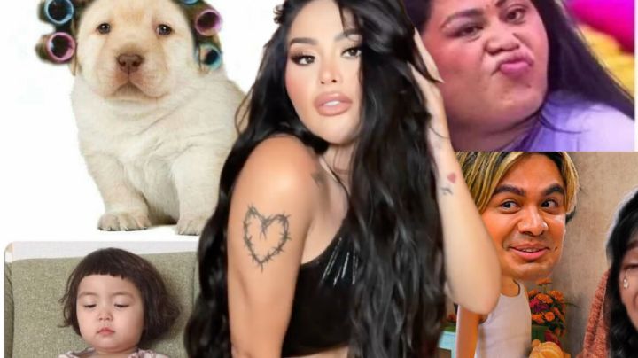 Celebran la salida de Gomita de La Casa de los Famosos México con una avalancha de memes