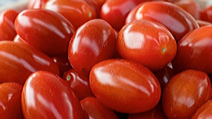 Así puedes conservar los jitomates hasta 6 meses en el refrigerador | VIDEO