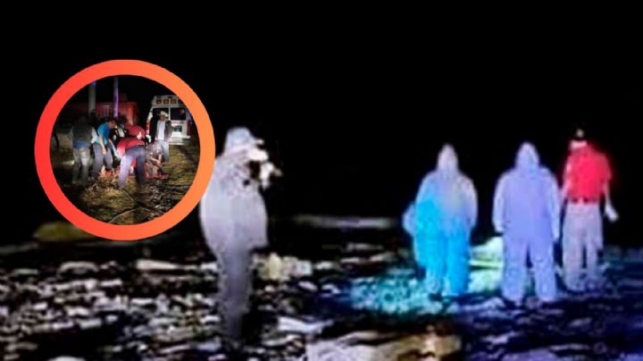 Encuentran tres cuerpos en fosa séptica; dos flotando y uno envuelto en una alfombra