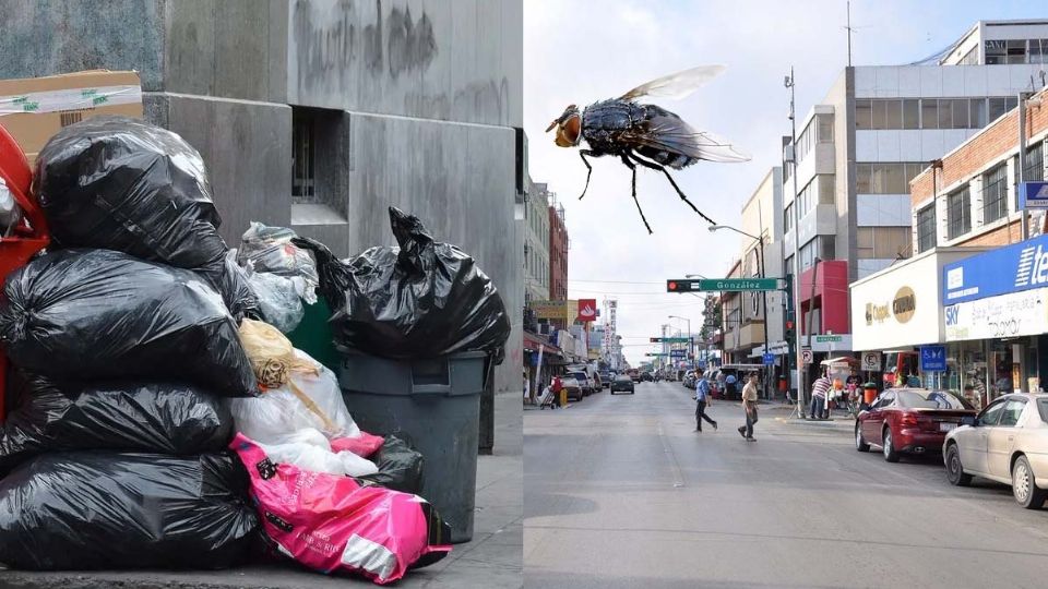 El camión recolector de basura no ha pasado