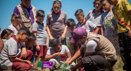 Habilita DIF Tamaulipas nuevos huertos escolares en 10 municipios del estado