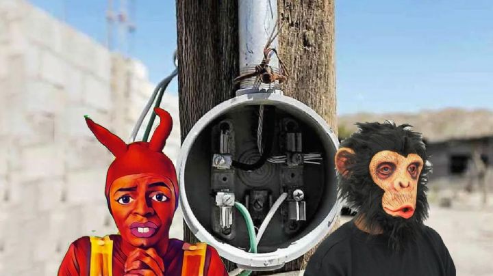 CFE: ¿chango o diablito?, ¿cuál es la diferencia entre los dos y cuál es legal?