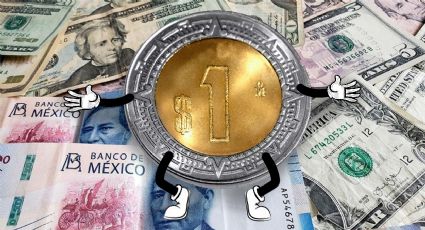 Precio del dólar hoy 8 de septiembre de 2024: domingo de alivio, peso mexicano se mantiene estable