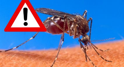 Dengue azota a Tamaulipas; está en números rojos