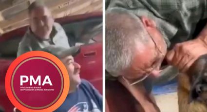 Hombres muerden y mutilan oreja a perro; los buscan las autoridades | VIDEO