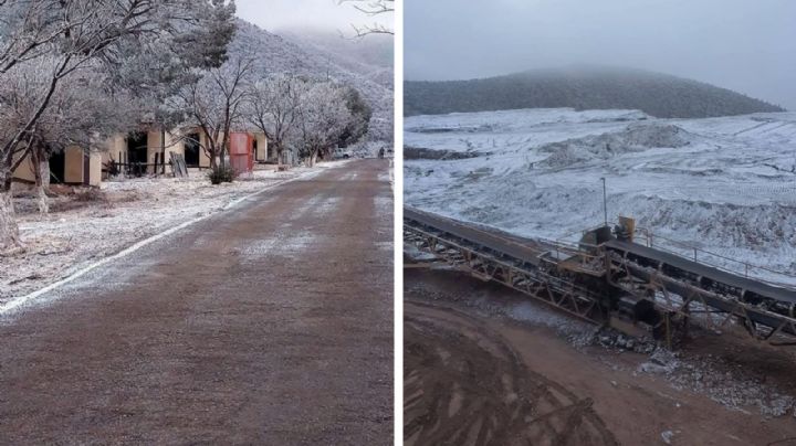 Sorprende nevada en Coahuila; ¿cuándo caerá nieve en Arteaga?