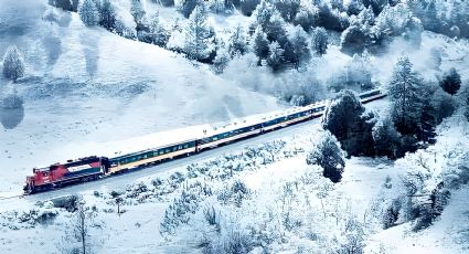 Desde 'El Chepe', turistas disfrutan de las increíbles vistas de la primera nevada de 2025 | VIDEO