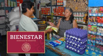 Tiendas del Bienestar: estos son los artículos que podrás encontrar; serán más baratos que la competencia