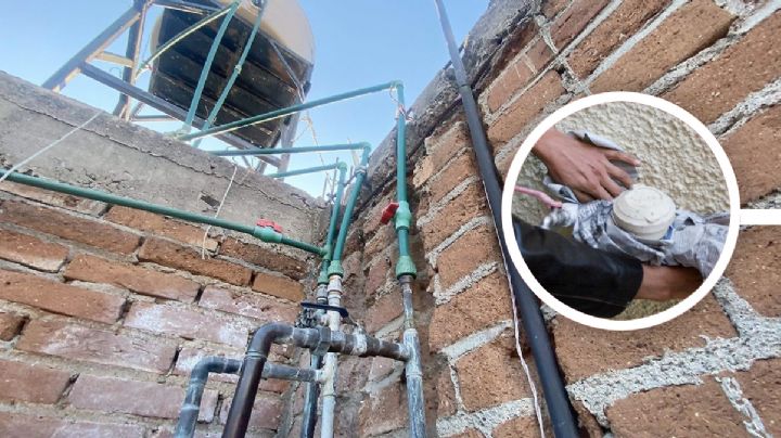 Las cinco cosas básicas que no puedes dejar pasar cuando se presenten temperaturas bajo cero