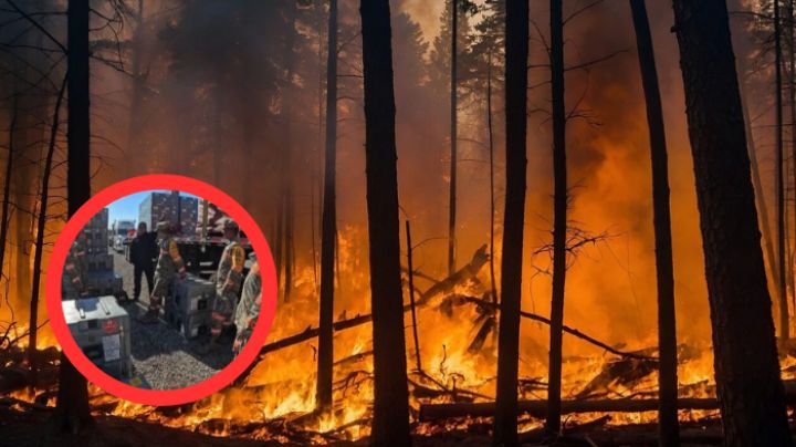 Delegación mexicana en Los Ángeles participa activamente en el combate contra incendios