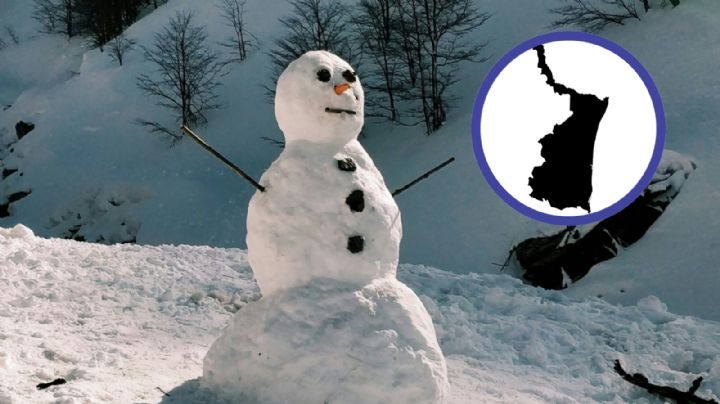 ¿Va a nevar en Tamaulipas por la tormenta invernal 2025? Esto dicen los expertos