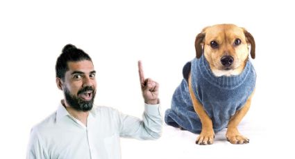 ¿Es bueno o malo ponerle ropa a los perros durante el frío?, esto dicen los expertos