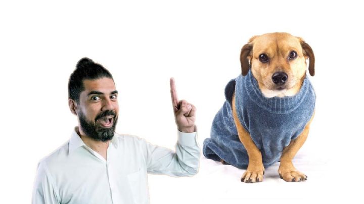¿Es bueno o malo ponerle ropa a los perros durante el frío?, esto dicen los expertos