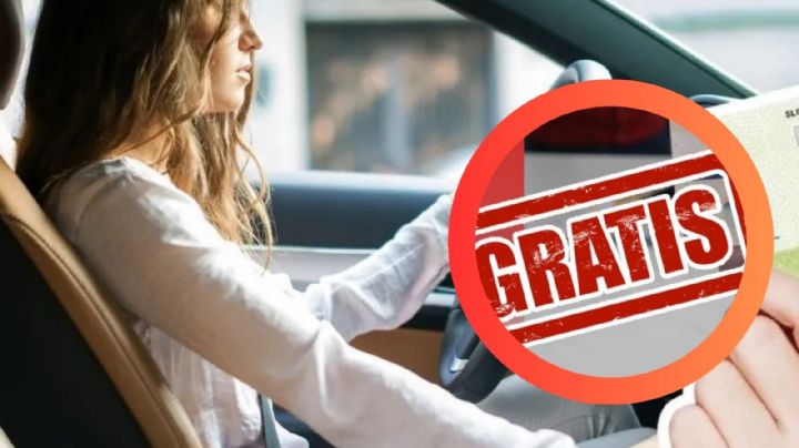 Licencia permanente 2025: consíguela gratis siguiendo estos simples requisitos