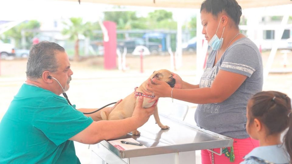 Los animalistos en Nuevo Laredo contarán con protección oficial.