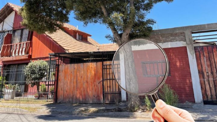 ¿El árbol que está plantado frente a mi casa es de mi propiedad?