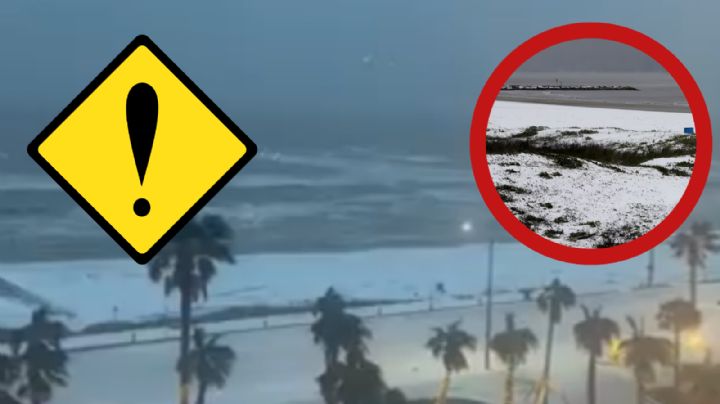 Texas: playas del estado se pintan de blanco; este es el extraño fenómeno que causó las nevadas