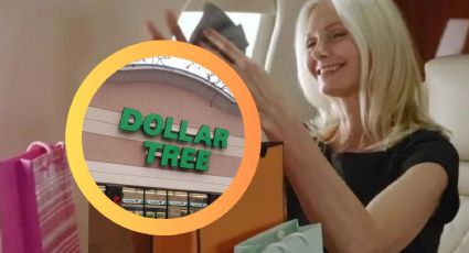 Dollar Tree en 2025: los productos que hasta los más ricos compran allí