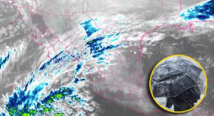 Clima en México: Frente Frío 25 traerá heladas y lluvia engelante para estos estados