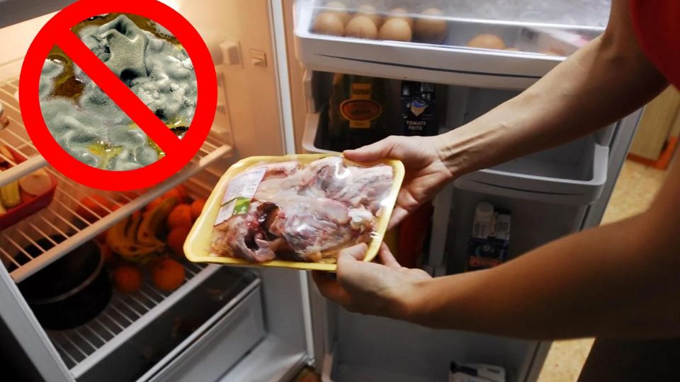 Conservar más tiempo de lo recomendado un alimento puede provocar enfermedades