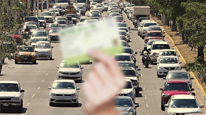 Licencia permanente 2025 será gratis en febrero si vives en este estado