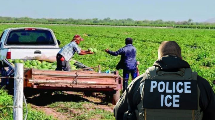 ICE planea redada en ciudad con gran población de hispanos; será en esta fecha