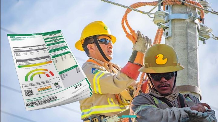 CFE: ¿cómo identificar a un verdadero trabajador de la Comisión?