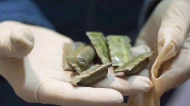 Departamento de Salud de Texas inicia campaña de vacunación contra la rabia para animales silvestres