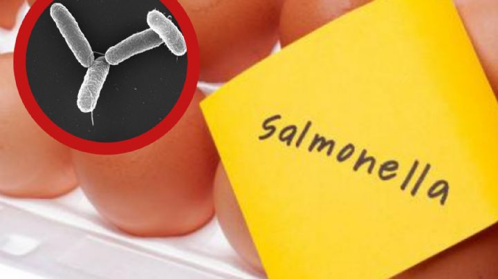 Estos huevos no deberás consumir pues podrían tener salmonela