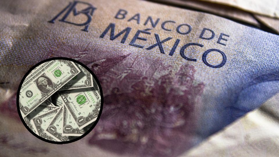 Peso a dólar: tipo de cambio para hoy 31 de enero de 2025